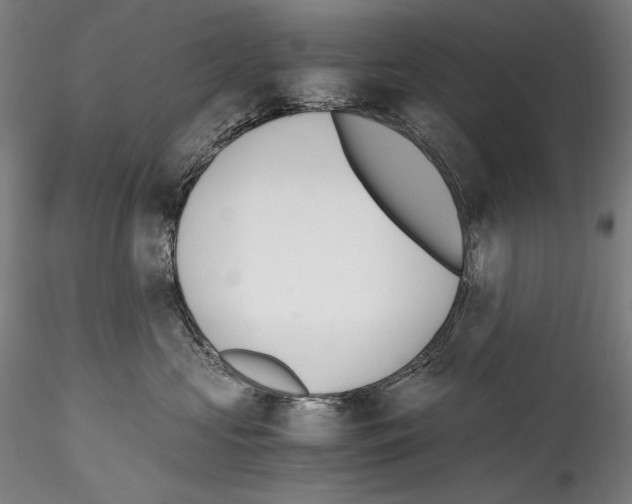 X0000114410573200911271529