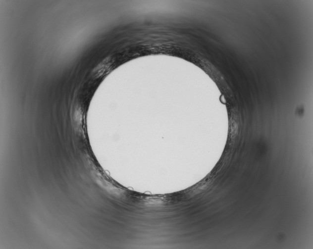 X0000114410574200911271529