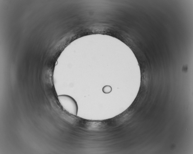 X0000114410575200911271529