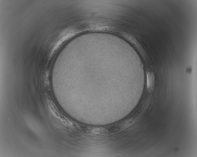 X0000114410579200911271528