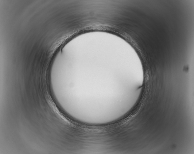 X0000114410581200911271528