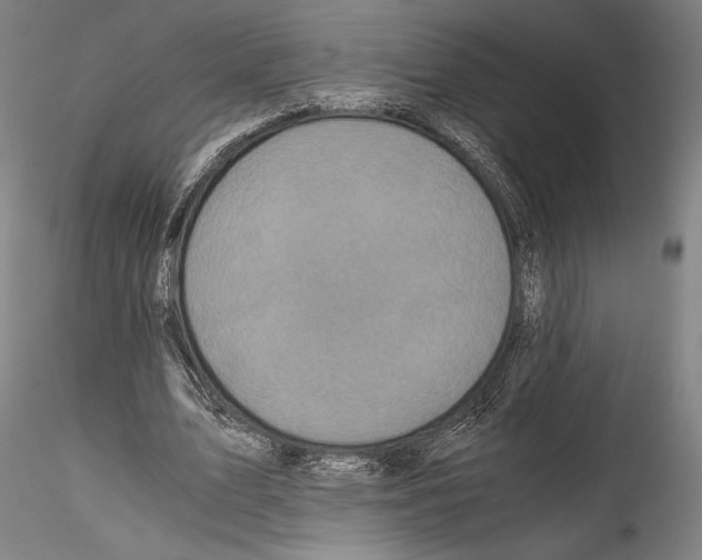 X0000114410583200911271528