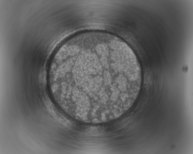 X0000114410584200911271528