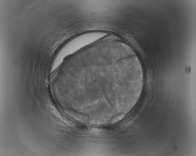 X0000114410585200911271528