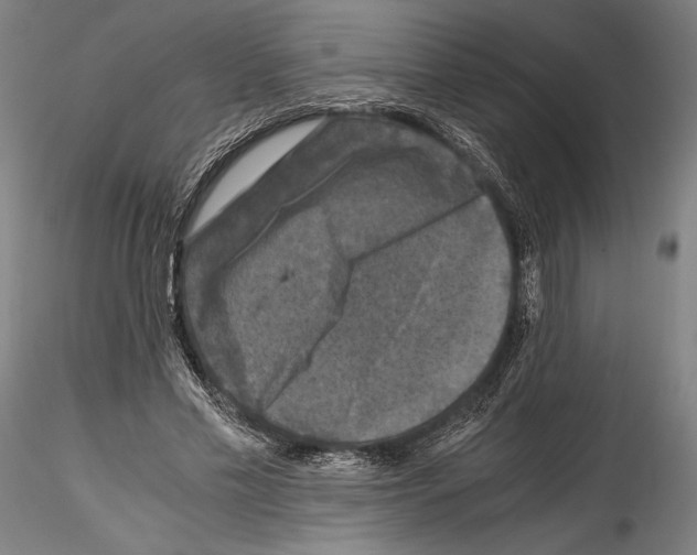 X0000114410589200911271528