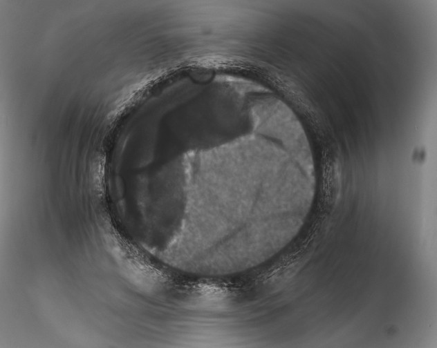 X0000114410592200911271528