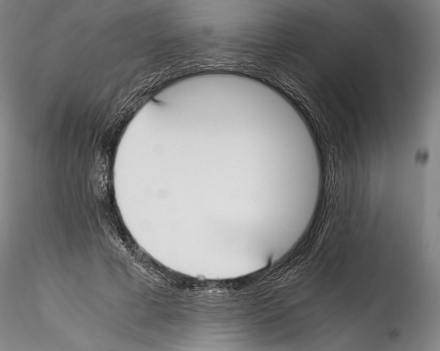 X0000114410593200911271528