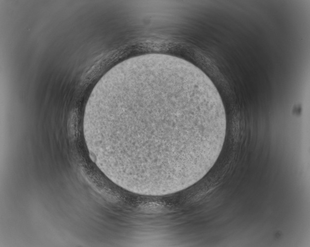 X0000114410594200911271528