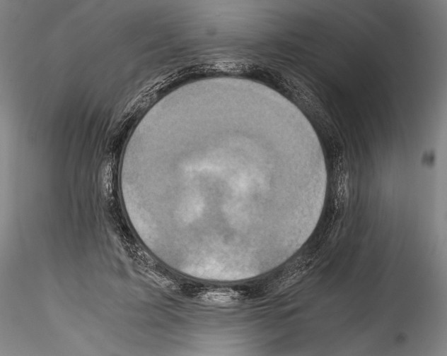 X0000114410595200911271528