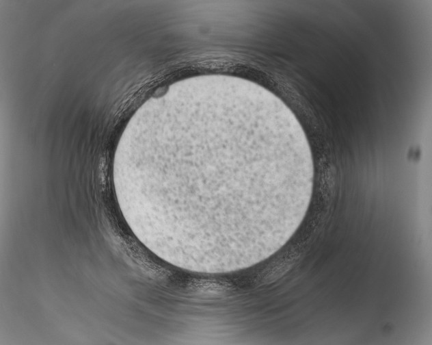 X0000114410597200911271528