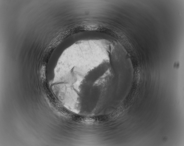 X0000114410598200911271528