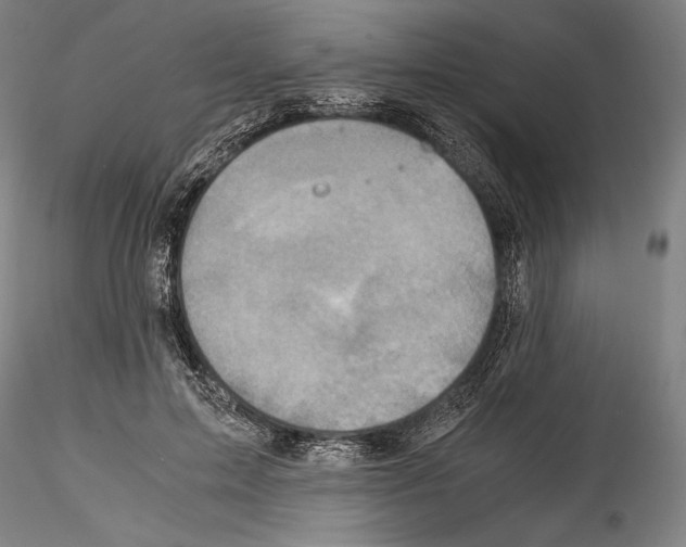 X0000114410599200911271528