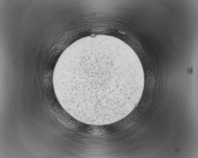 X0000114410601200911271528