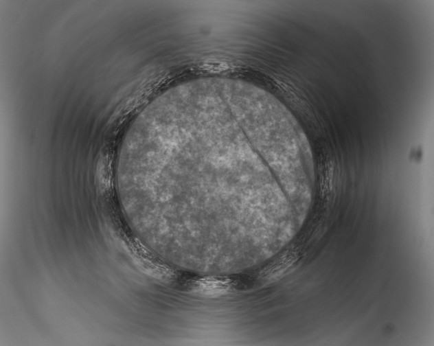 X0000114410606200911271528