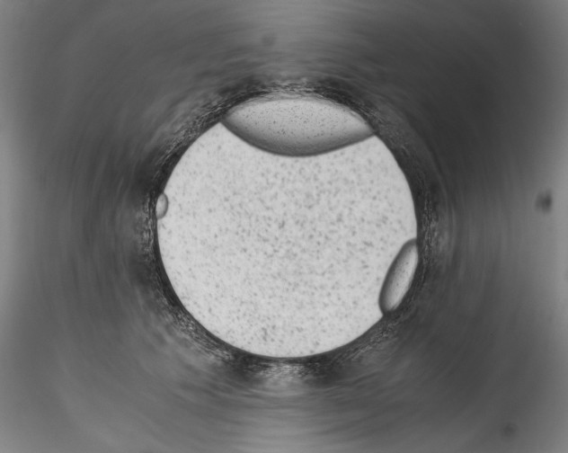 X0000114410609200911271528