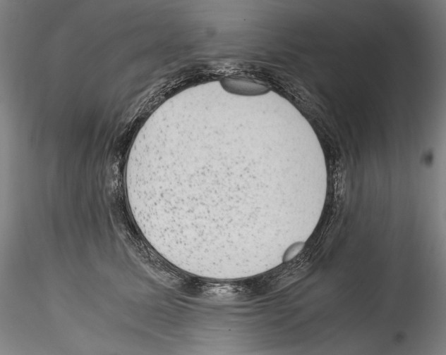 X0000114410611200911271528