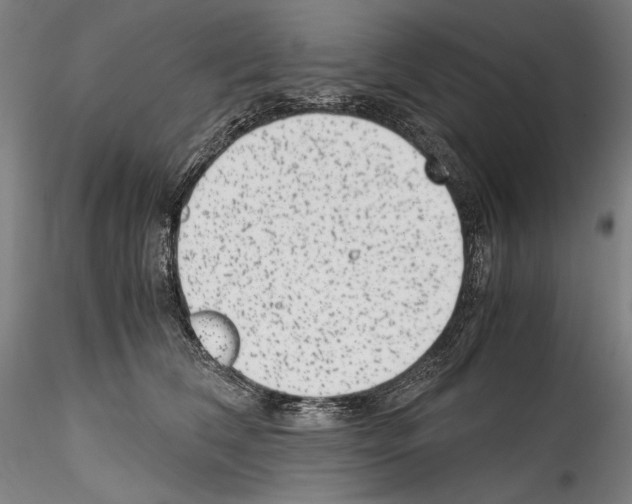 X0000114410612200911271528