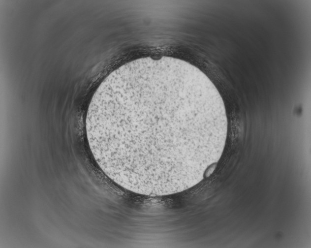 X0000114410613200911271528