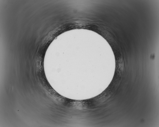 X0000114410615200911271528