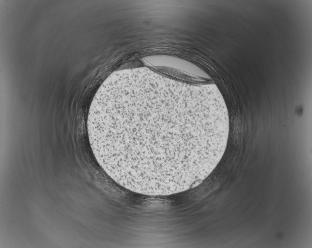 X0000114410617200911271528