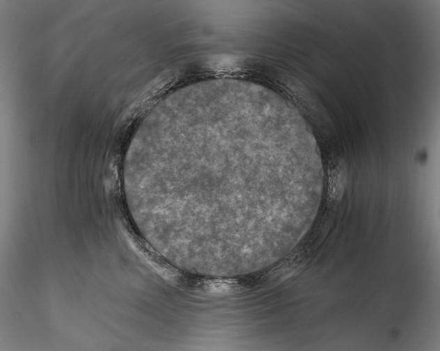 X0000114410618200911271528