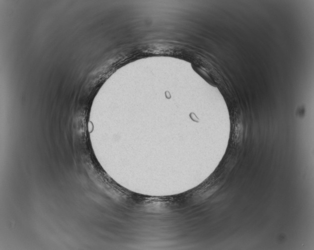 X0000114410620200911271528