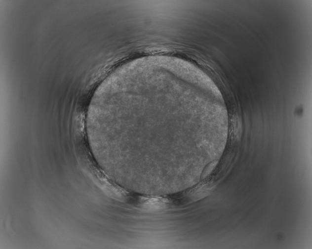 X0000114410621200911271528