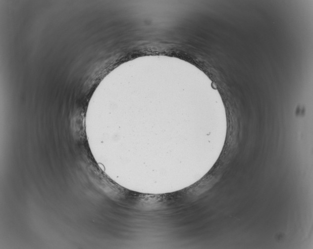 X0000114410624200911271527