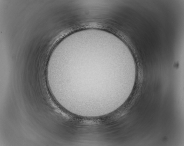 X0000114410625200911271527