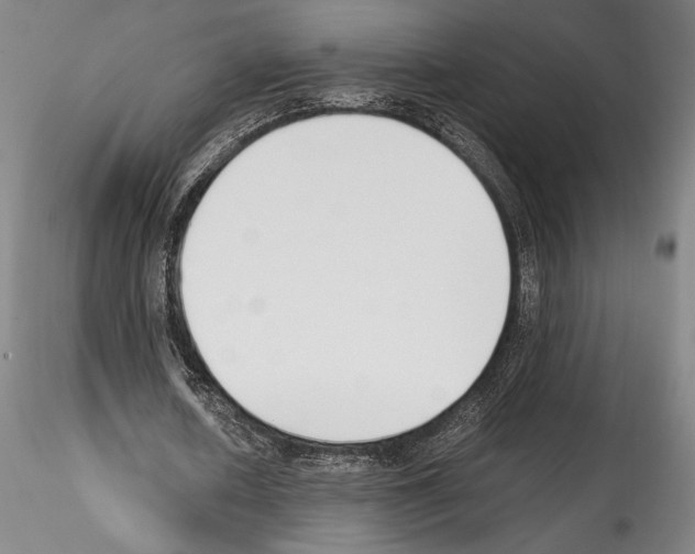 X0000114410626200911271527