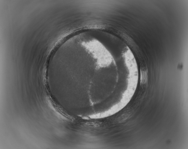 X0000114410627200911271527