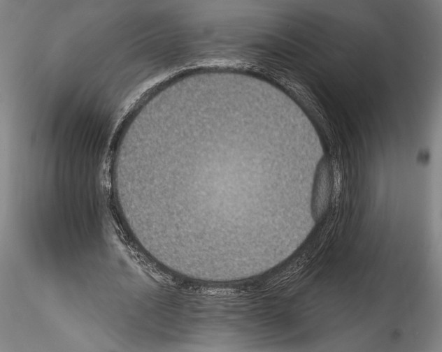 X0000114410628200911271527