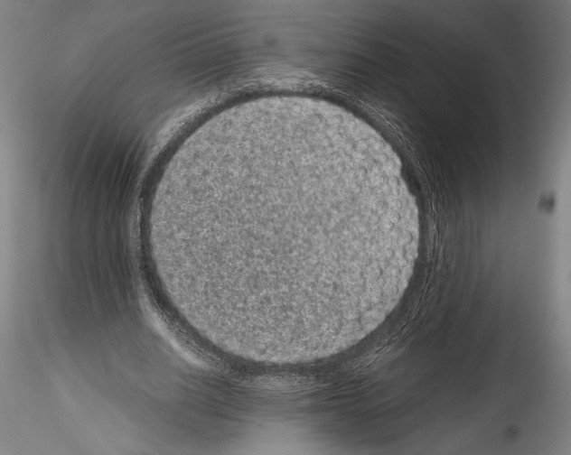 X0000114410630200911271527