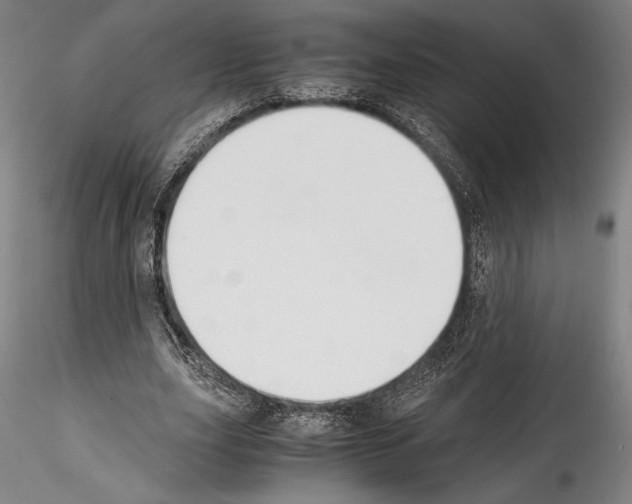 X0000114410631200911271527