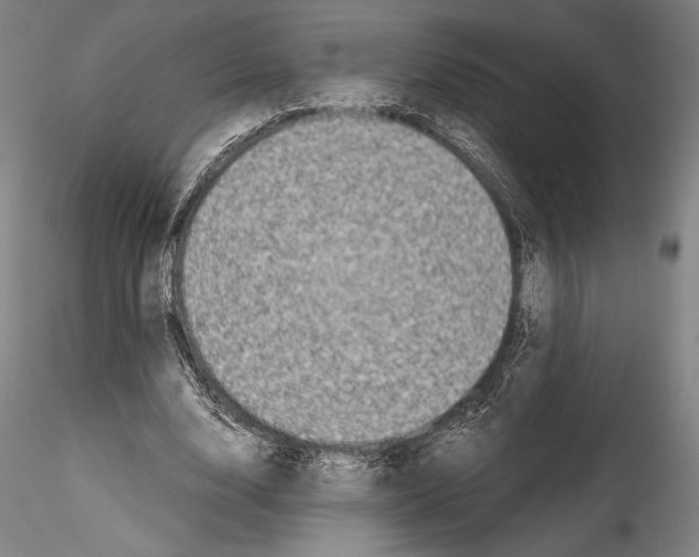 X0000114410632200911271527