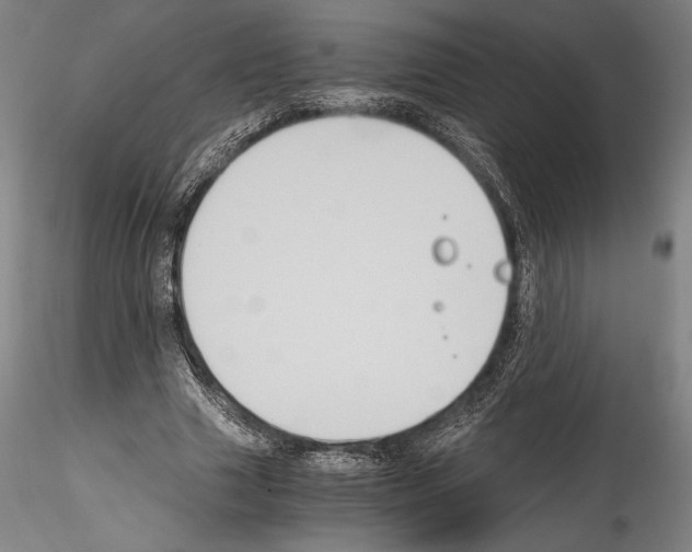 X0000114410633200911271527