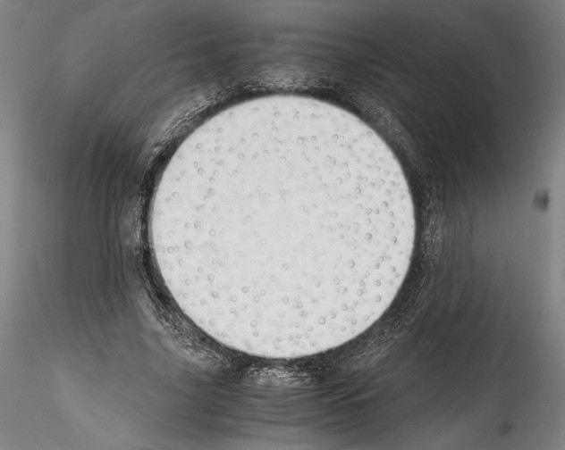 X0000114410635200911271527