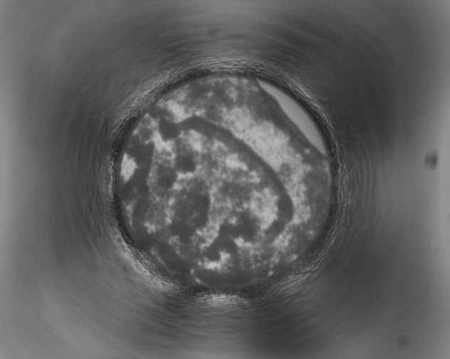 X0000114410637200911271527