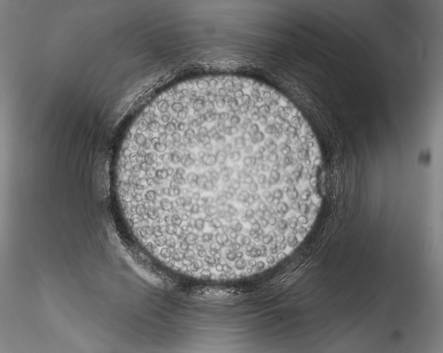 X0000114410638200911271527