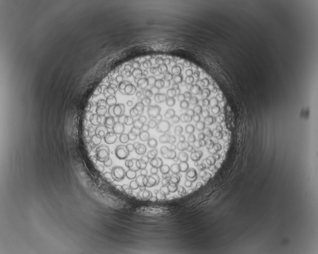 X0000114410639200911271527