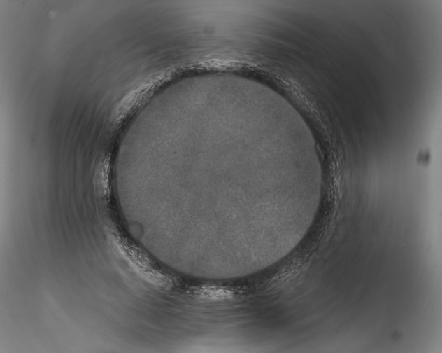 X0000114410640200911271527