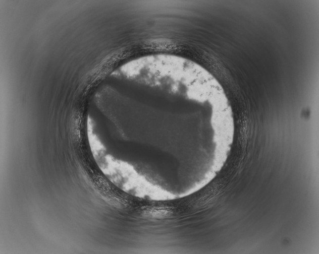 X0000114410643200911271527