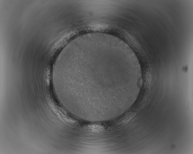 X0000114410644200911271527