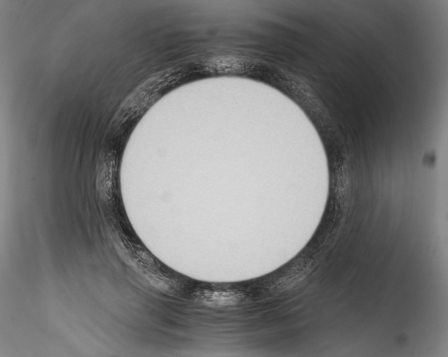 X0000114410645200911271527