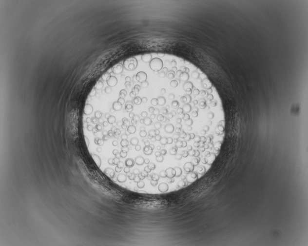 X0000114410646200911271527