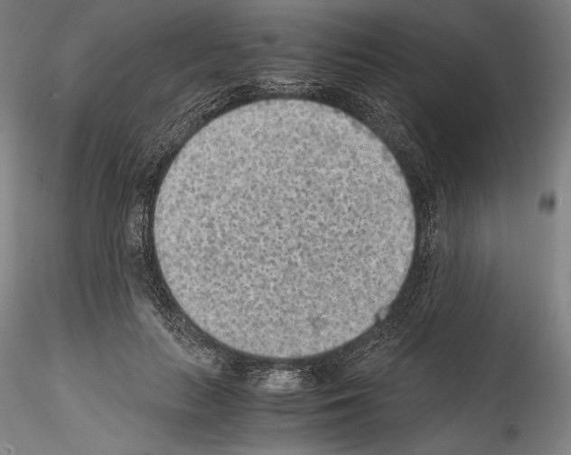 X0000114410647200911271527