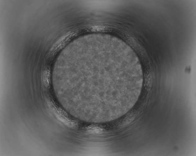 X0000114410648200911271527