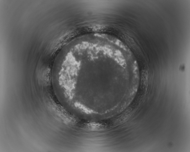 X0000114410650200911271527