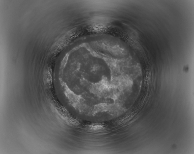 X0000114410651200911271527