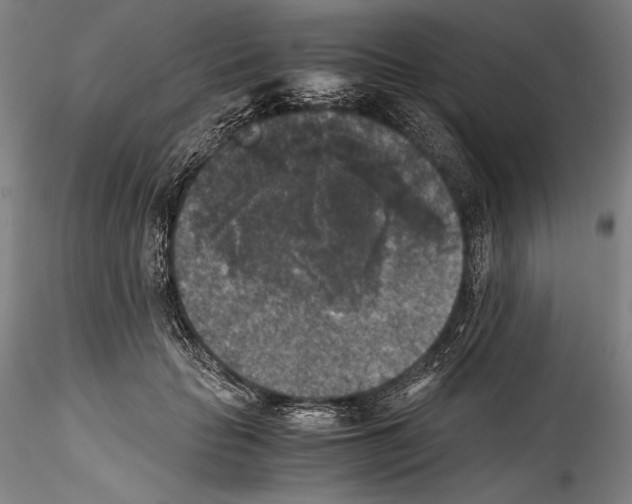 X0000114410653200911271527